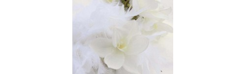    D&eacute;coration Mariage