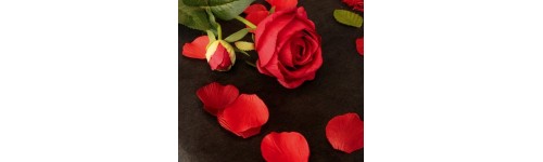 P&eacute;tales de Fleur