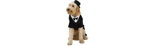 D&eacute;guisements Pet's pour Animaux