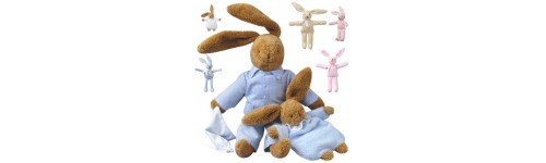 Lapin