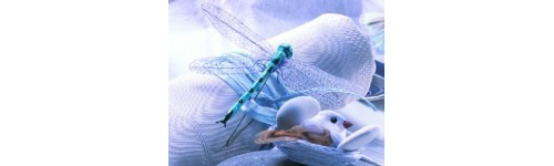 Libellules Sur Tige et Oiseaux