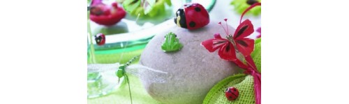 Coccinelles Sur Tige