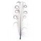 Plume Tortillon grise 15 cm les 6