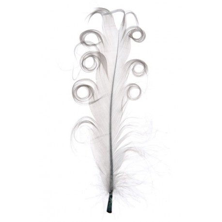 Plume Tortillon grise 15 cm les 6