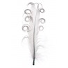 Plumes Tortillon Couleur 15 cm les 6