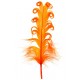 Plume Tortillon orange 15 cm les 6