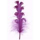 Plume Tortillon fuschia prune 15 cm les 6