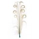 Plume Tortillon ivoire 15 cm les 6