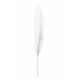 Plume droite blanche decorative 10 cm les 6 plumes