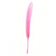 Plume droite rose vif decorative 10 cm les 6 plumes