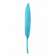 Plume droite turquoise decorative 10 cm les 6 plumes