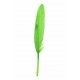 Plume droite verte decorative 10 cm les 6 plumes