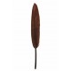 Plume droite chocolat decorative 10 cm les 6 plumes