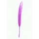 Plume droite fuschia prune decorative 10 cm les 6 plumes