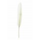 Plume droite ivoire decorative 10 cm les 6 plumes