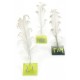 Marque Place Nacre Carre deco mariage et deco festive