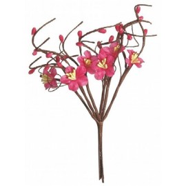 Fleurs de Pommier Fuchsia les 12