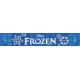 Deguisement La Reine des Neiges Disney Frozen 