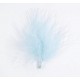 Plumes Bleu Ciel les 20