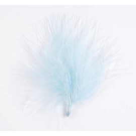 Plumes Bleu Ciel les 20