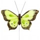 Papillon Bicolore Vert anis en Plumes sur Tige les 6 déco
