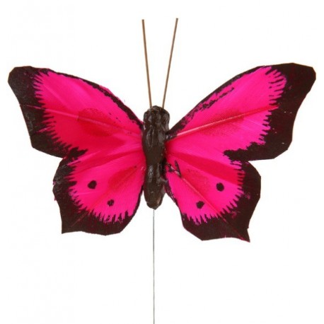 Papillon Bicolore Fushia en Plumes sur Tige les 6 déco 