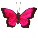 Papillons Bicolore Fushia en Plumes sur Tige les 6