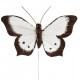 Papillon Bicolore Blanc en Plumes sur Tige les 6