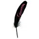Plumes Glamour Noires Fushia 16 cm les 6