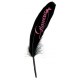 Plumes Glamour Noires Fushia 16 cm les 6