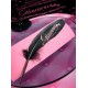 Plume Glamour Noire Fushia 16 cm les 6