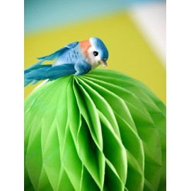 Perruches Bleu Turquoise en plumes sur pince 6 cm les 2