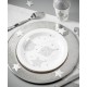 Assiette Flocon de neige argent carton blanc 23 cm les 10