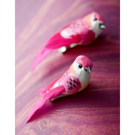 Perruches Fuchsia en plumes sur pince 6 cm les 2