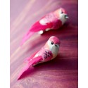 Perruches Fuchsia en plumes sur pince 6 cm les 2