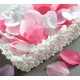 Petales de rose rose avec feuilles les 100
