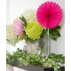 Eventail papier 20 cm Eventail rosace idee decoration