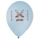 Ballons pirate bleu ciel 23 cm les 8