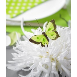 Papillon bicolore vert anis en plumes sur tige les 6