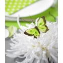 Papillons Bicolore Vert anis en Plumes sur Tige les 6
