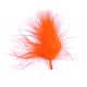 Plumes de Couleur Orange