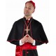 Déguisement Cardinal homme luxe