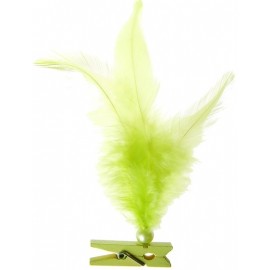 Plumes vert anis avec perle sur pince en bois les 6