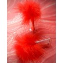 Plumes de Couleur Rouge les 20