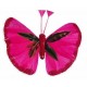 Papillons Couleur Fuschia