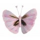 Papillons Couleur rose