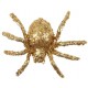 Araignée pailletée or 6.5 cm les 6