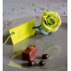 Marque-Place de Couleur les 10