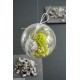 Boule Plexi Transparente 8 cm