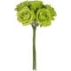 Roses Pailletees Vert Anis